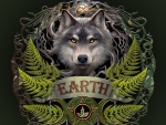Earth