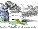 Voting