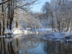 winter rive