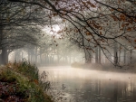 Misty River