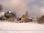 winter scene