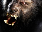 The Wolfman