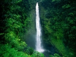 Akaka Falls - Hawaii