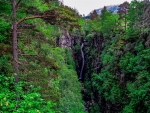 Corrieshalloch Gorge - Scotland