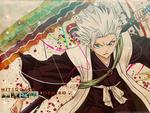 Toshiro Hitsugaya