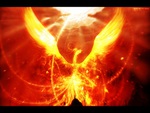 phoenix- the rebirth