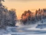 A Cold Winter Day in Finland