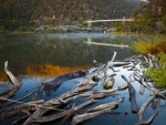 Cataract Gorge