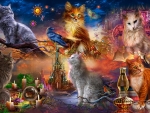 Cats Collage