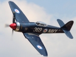 Hawker Sea Fury
