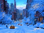 Artwork - New York In Winter