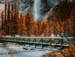 Takkakaw Falls, Yoho National Park, British columbia