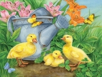 Ducklings and Butterflies