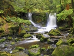 Tasmania - Horseshoe Falls