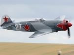 Yak 11