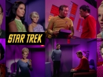 Star Trek Purple
