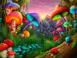 Magic Mushroom Land
