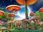 Mushroom City