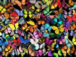 Butterflies Magic