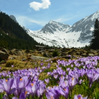 Spring in a mountain valley
