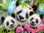 panda family