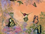 Hummingbirds AN BUTTERFLIES