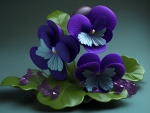Purple pansy