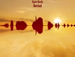 Kate Bush - Aerial (2005)
