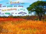 The Lord Will Guide You