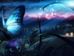 Night butterfly
