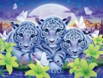 white tigers