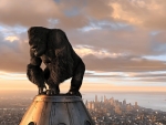 king kong