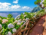 Azores