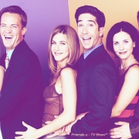 Friends Tv Show