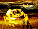 Rose and Eye