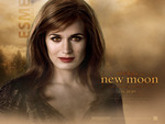 new moon 