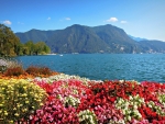 Lugano lake