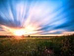 sunlight on the prairie