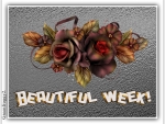 BEAUTIFUL WEEK