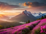 Mountain sunrise in summer