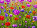Colorful wildflowers