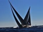 Regatta sailing yacht