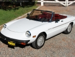 1981 Alfa Romeo Spider