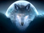 Native Wolf Vision