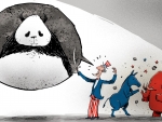 China Interference