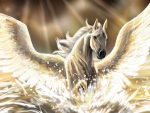 Pegasus