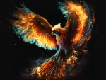 phoenix