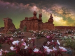 Windflowers blooming in Goblin Valley, Utah