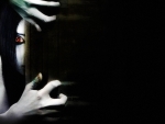 Ju-On The Grudge