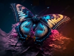 Butterfly Fantasy
